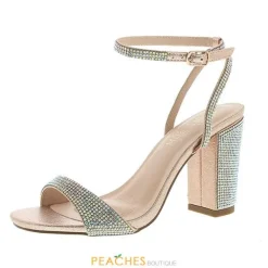 Chaya-1 Thick Heels By^Blossom Footwear Best