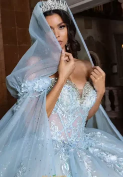 Hood/Streamers Only. Dress Not Included.^Rachel Allan Quince Online