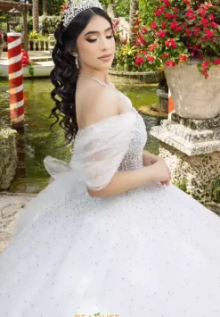 26102^LizLuo Quinceanera Discount