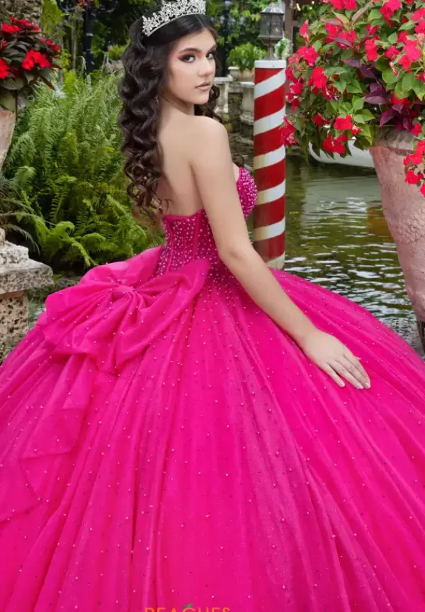 26102^LizLuo Quinceanera Discount