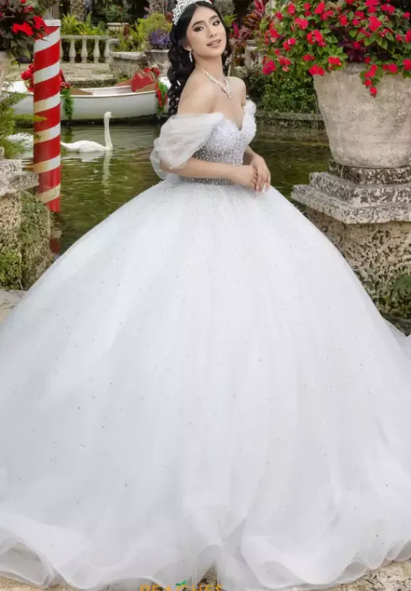 26102^LizLuo Quinceanera Discount