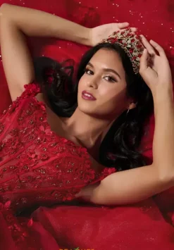 56548^LizLuo Quinceanera