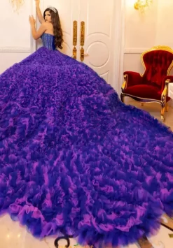 80023^LizLuo Quinceanera New