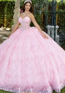 56528^LizLuo Quinceanera New