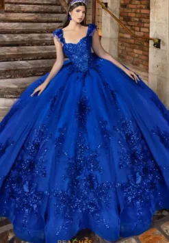 80047^LizLuo Quinceanera Clearance