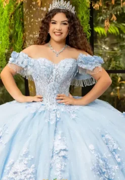 80047^LizLuo Quinceanera Clearance