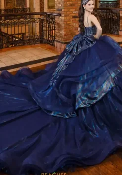 80046^LizLuo Quinceanera Clearance