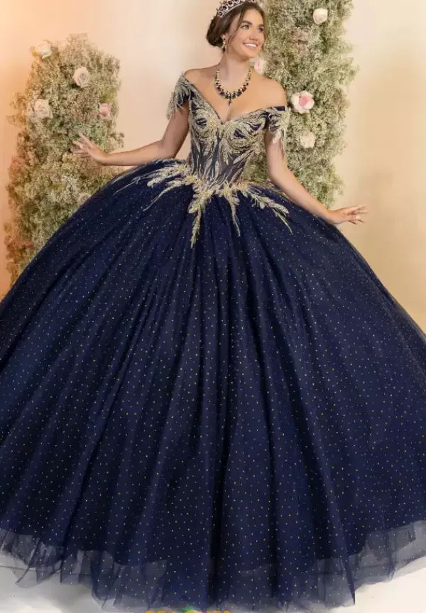 56555^LizLuo Quinceanera