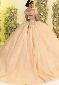 56555^LizLuo Quinceanera