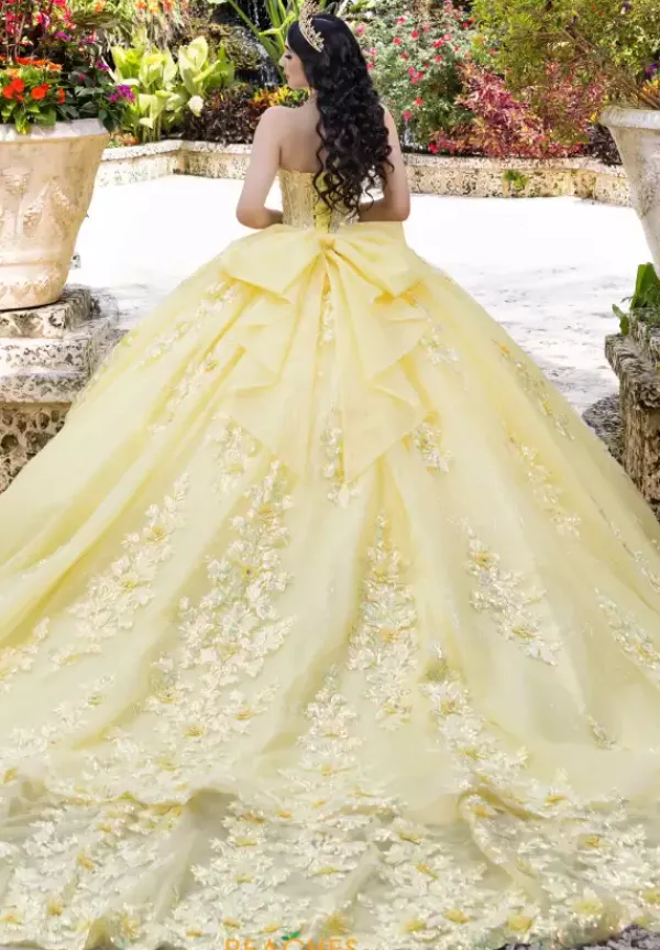 26100^LizLuo Quinceanera Best