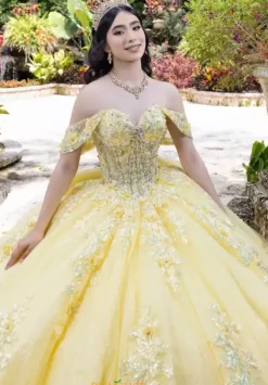 26100^LizLuo Quinceanera Best