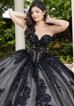 56530^LizLuo Quinceanera New