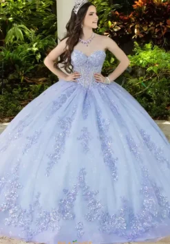 56530^LizLuo Quinceanera New