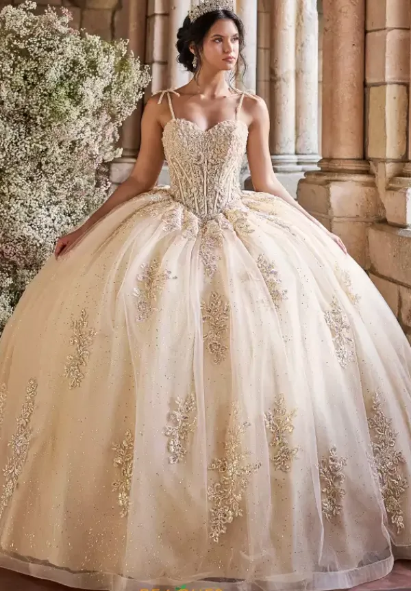 56546^LizLuo Quinceanera