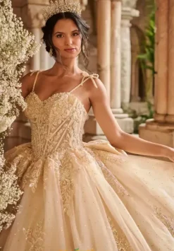 56546^LizLuo Quinceanera