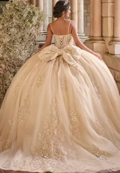 56546^LizLuo Quinceanera
