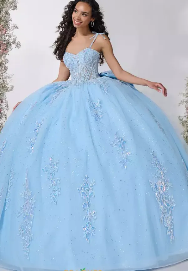 56546^LizLuo Quinceanera