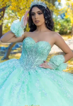 26094^LizLuo Quinceanera Hot