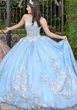56534^LizLuo Quinceanera New
