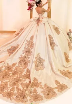 80066^LizLuo Quinceanera Hot