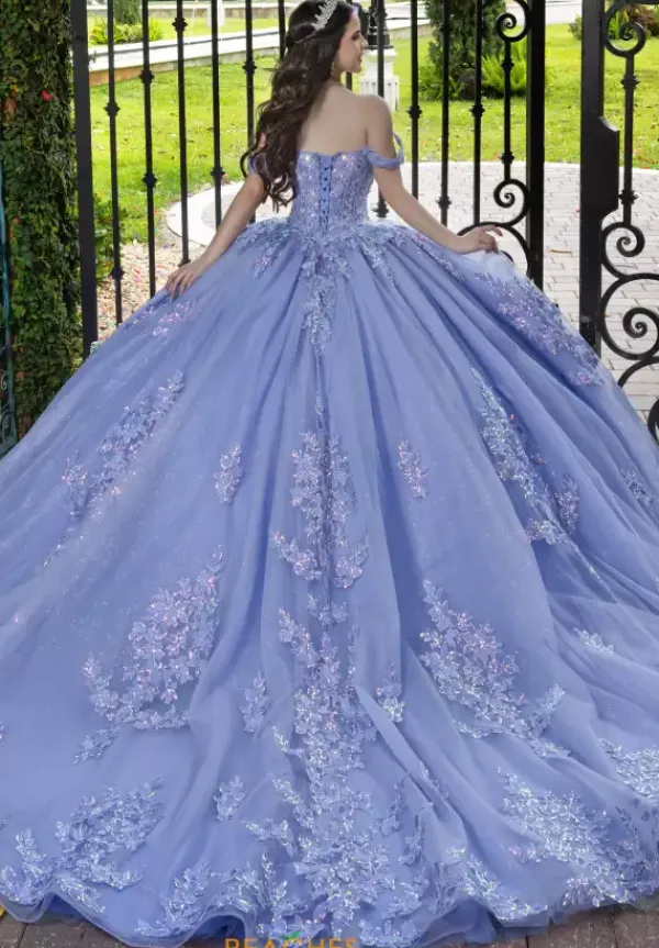 56529^LizLuo Quinceanera Clearance
