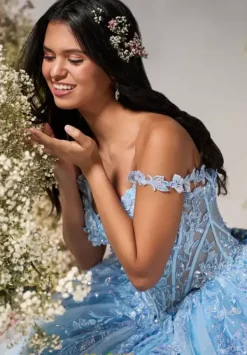 56549^LizLuo Quinceanera Clearance