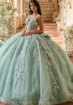 56541^LizLuo Quinceanera Clearance