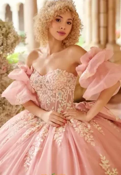 26123^LizLuo Quinceanera Clearance