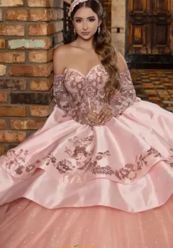 80036^LizLuo Quinceanera New