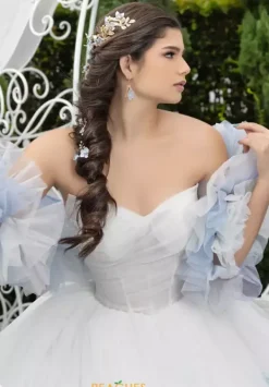 80025^LizLuo Quinceanera New