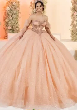 56561^LizLuo Quinceanera Hot