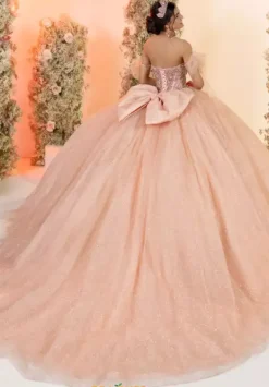 56561^LizLuo Quinceanera Hot