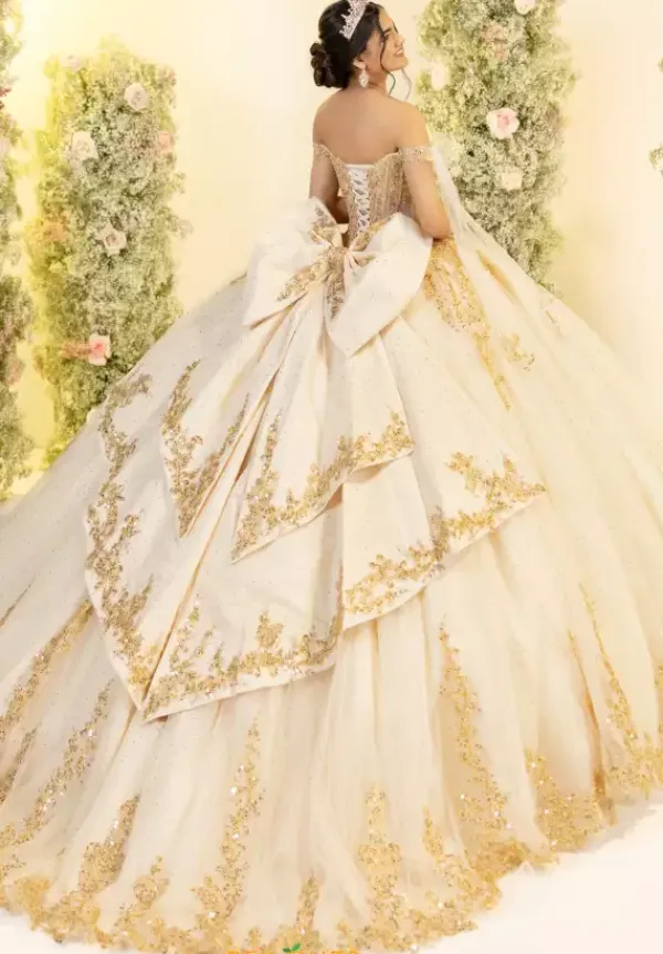 56560^LizLuo Quinceanera