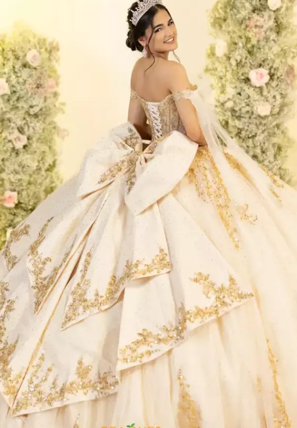 56560^LizLuo Quinceanera