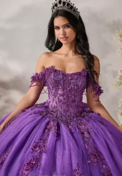 80051^LizLuo Quinceanera