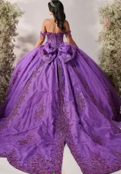 80051^LizLuo Quinceanera