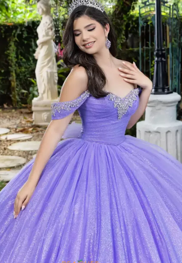 56537^LizLuo Quinceanera New