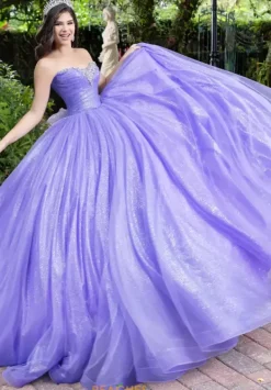 56537^LizLuo Quinceanera New