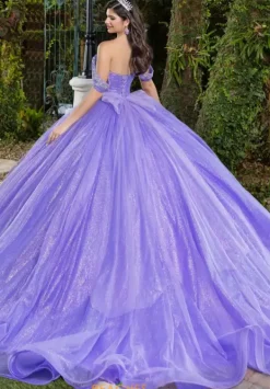 56537^LizLuo Quinceanera New