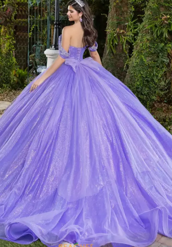 56537^LizLuo Quinceanera New