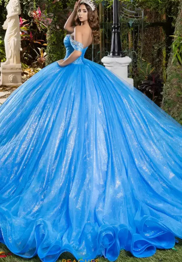 56537^LizLuo Quinceanera New