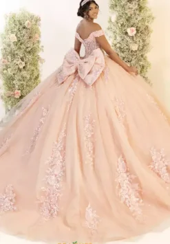 56556^LizLuo Quinceanera Discount