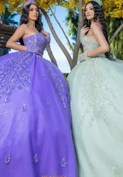 26096^LizLuo Quinceanera New