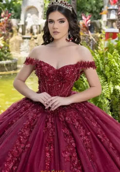 26105^LizLuo Quinceanera Sale