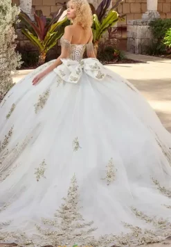 26117^LizLuo Quinceanera Hot