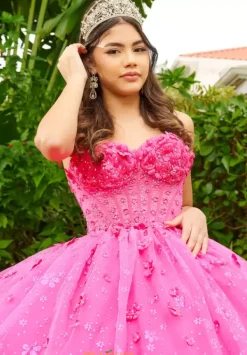56512^LizLuo Quinceanera New