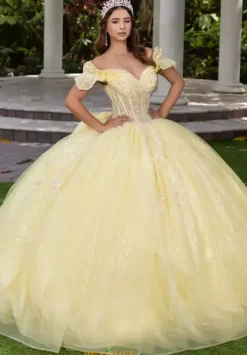 56535^LizLuo Quinceanera Discount