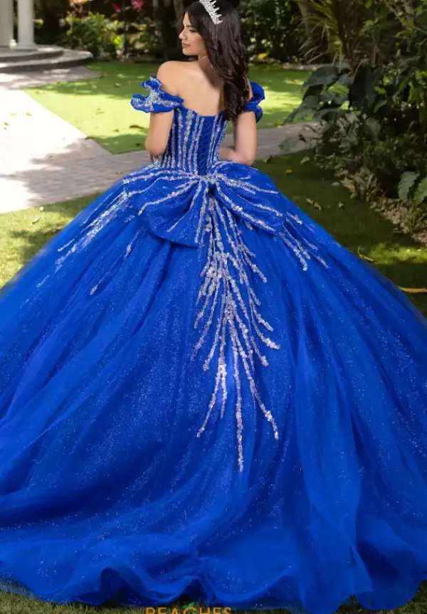 56535^LizLuo Quinceanera Discount