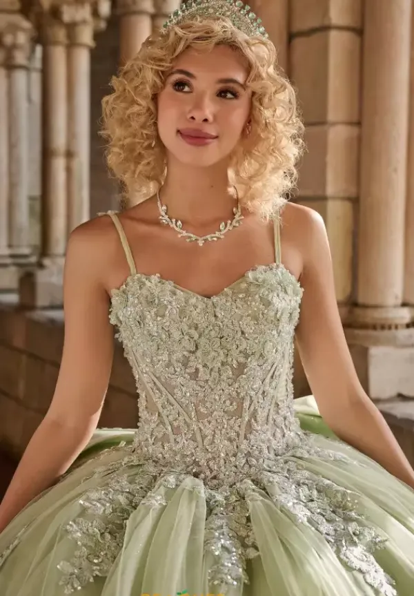 26125^LizLuo Quinceanera