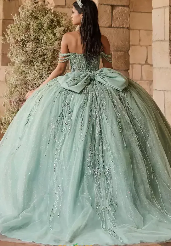 56550^LizLuo Quinceanera Clearance